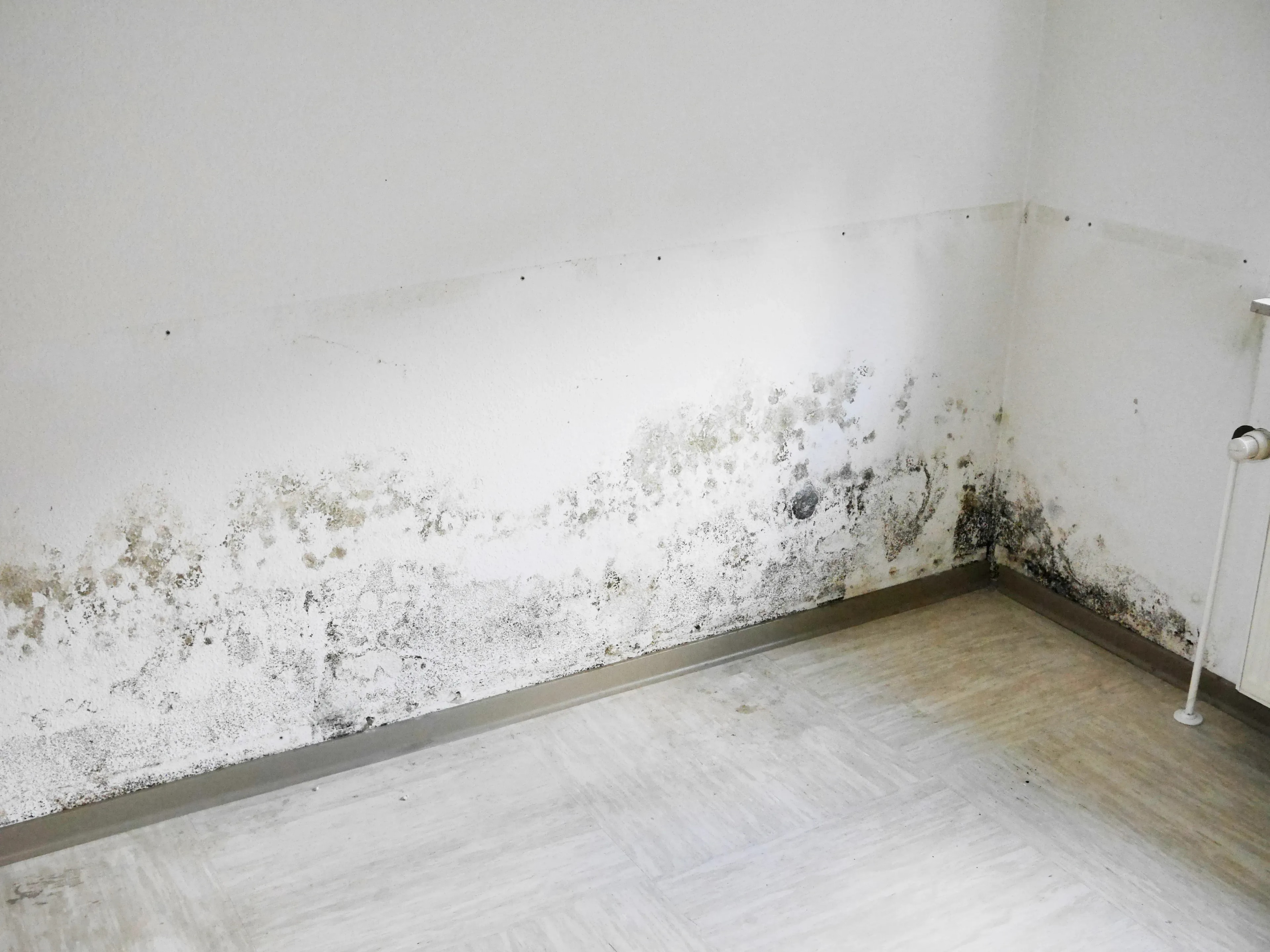 Gutachten für Schimmel in der Wohnung in Ahlen erstellen lassen